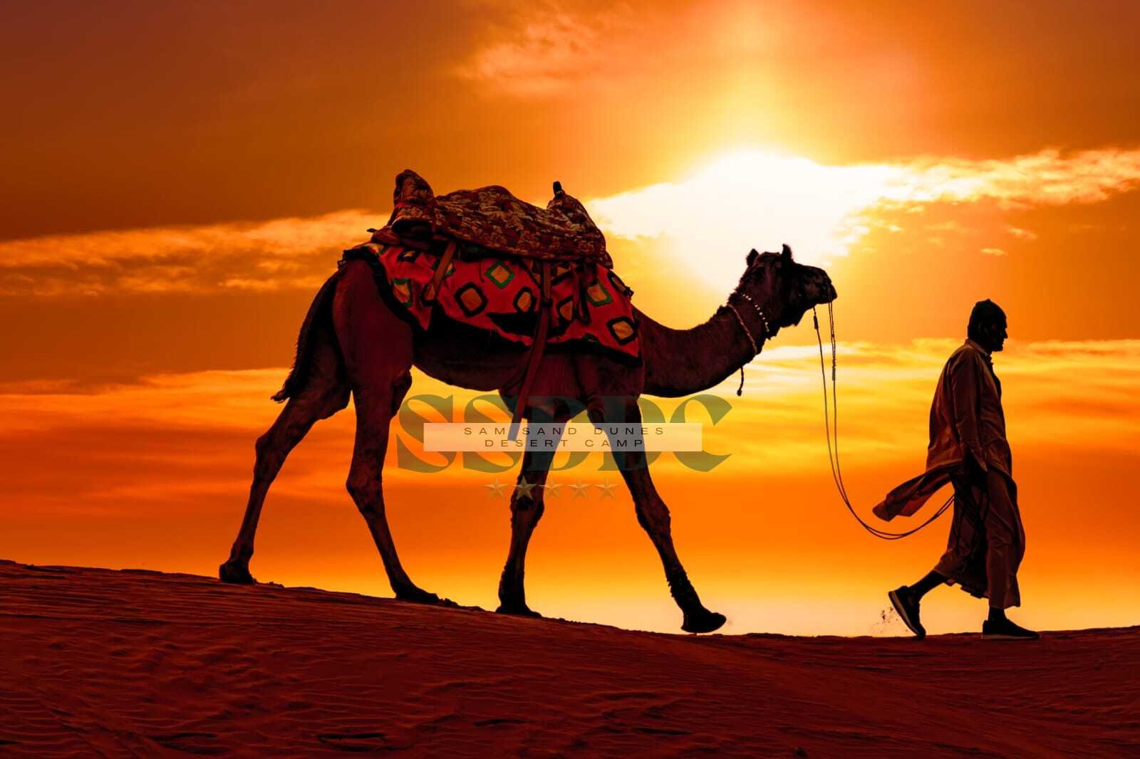 jaisalmer taxi service